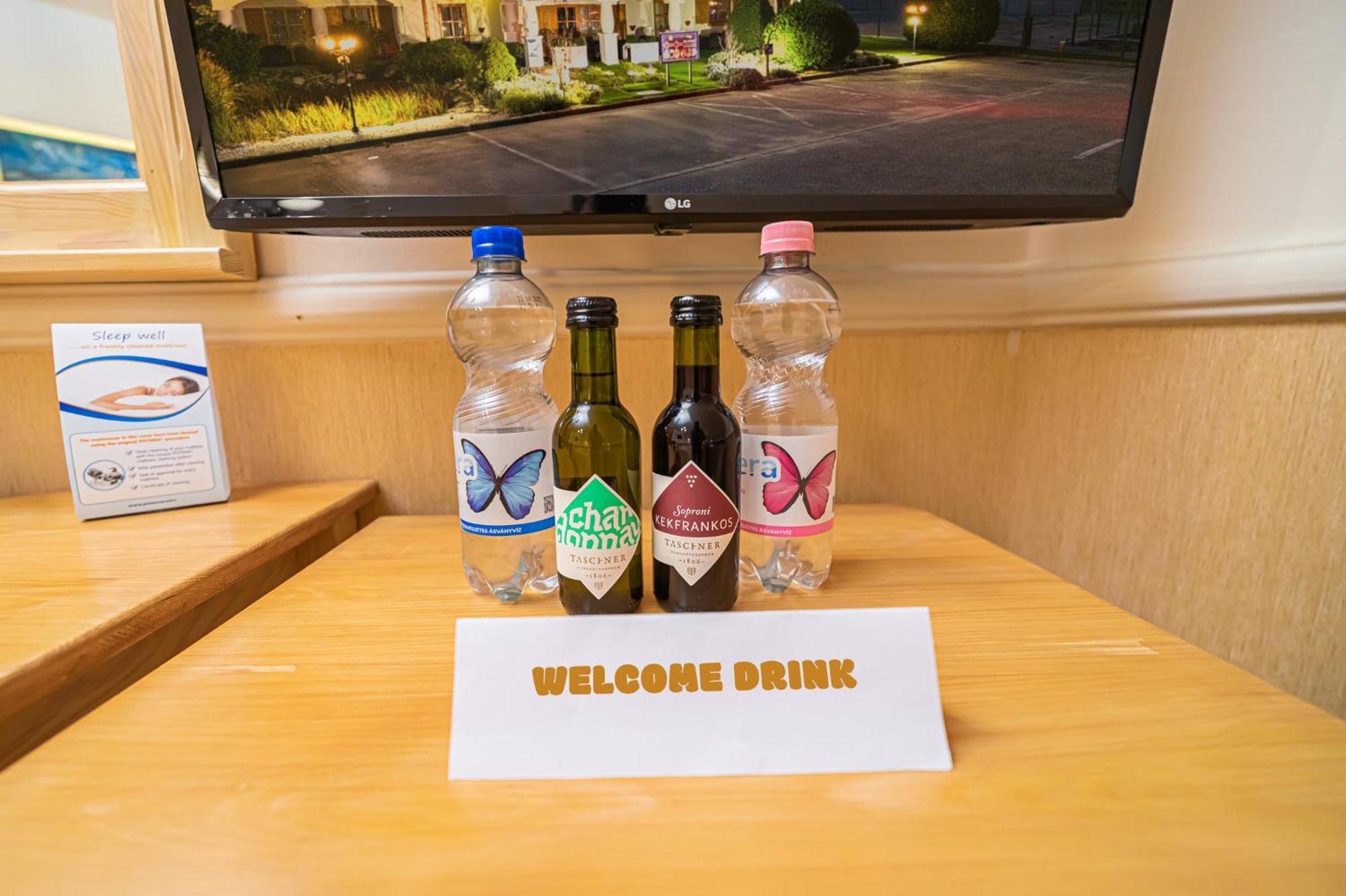 Rigotanya Relax & Wellness Panzio Buekfuerdo酒店 外观 照片